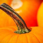 「かぼちゃ」はフランス語で？野菜に関するフランス語
